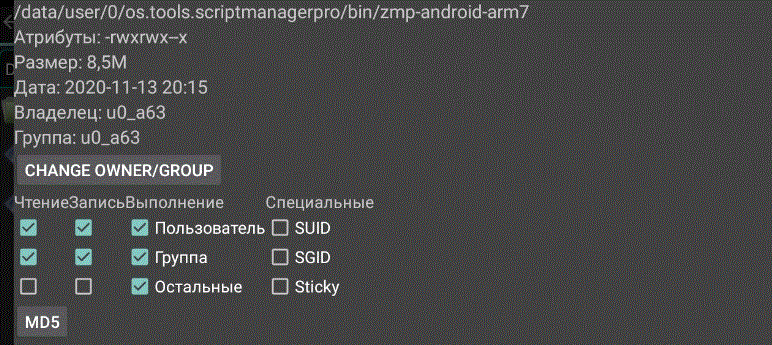 5.gif